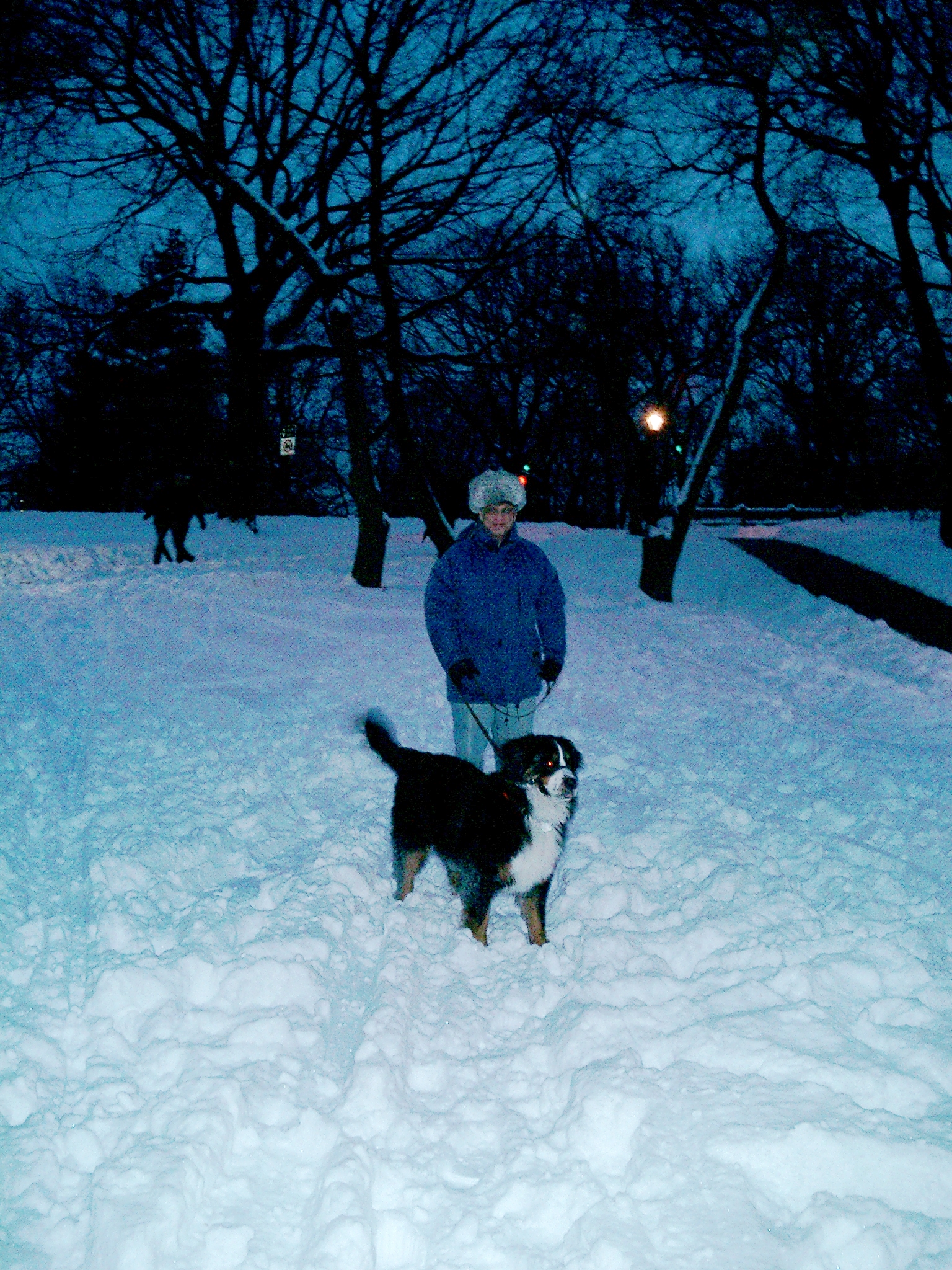 Rosie & Lawrence in Central Park in the snow... 