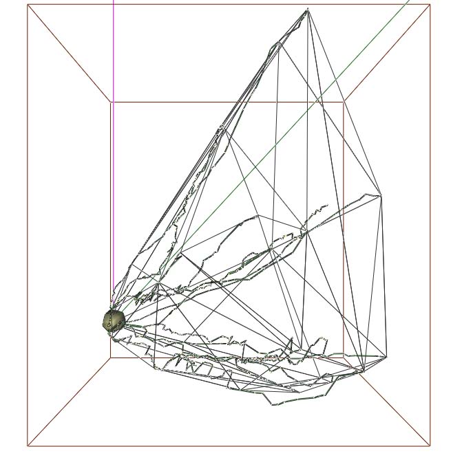 bounding box and convex hull for granule neuron